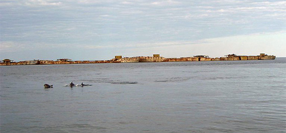 صور شريط التمرير