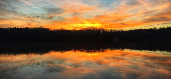 صور شريط التمرير