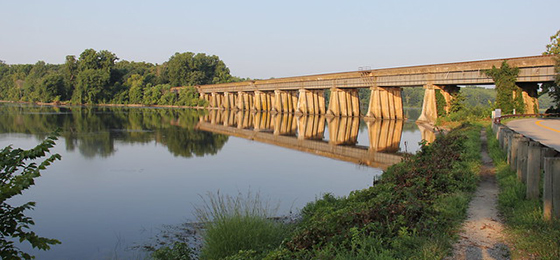 صور شريط التمرير