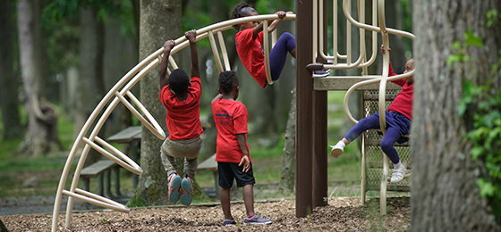 صور شريط التمرير