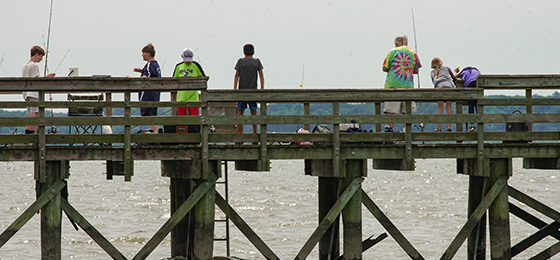 صور شريط التمرير