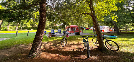 صور شريط التمرير