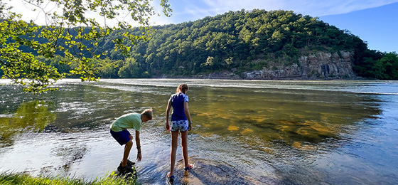 صور شريط التمرير