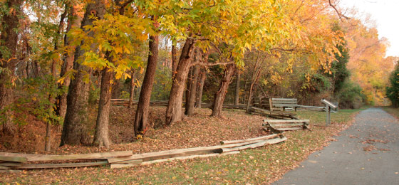 صور شريط التمرير