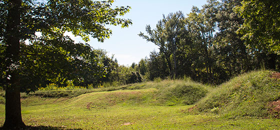 صور شريط التمرير