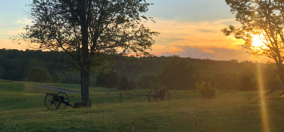 صور شريط التمرير