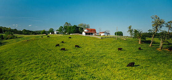 صور شريط التمرير