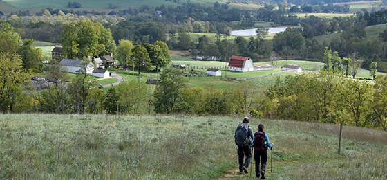 صور شريط التمرير