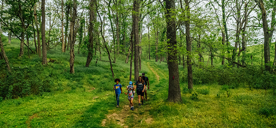 صور شريط التمرير