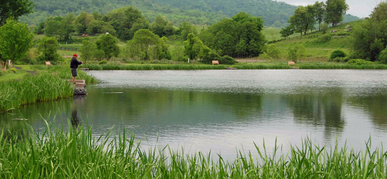 صور شريط التمرير