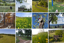 صور فليكر لمتنزه سكاي ميدوز الحكومي