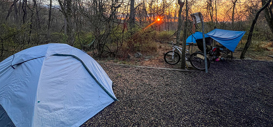 صور شريط التمرير