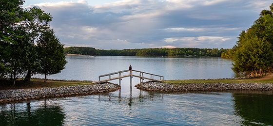 صور شريط التمرير