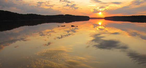 صور شريط التمرير