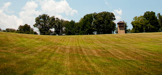 صور شريط التمرير