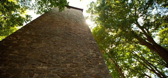 صور شريط التمرير