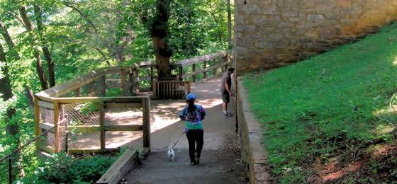 صور شريط التمرير