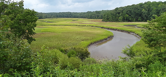 صور شريط التمرير