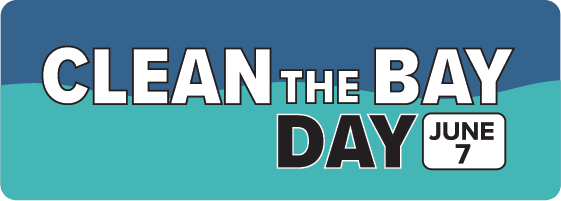 يوم تنظيف الخليج