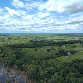 منطقة محمية ولاية فوكلاند