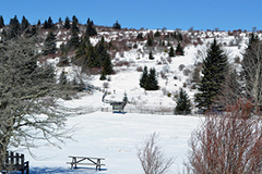 متنزه ولاية غرايسون هايلاندز