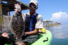 السمك المفلطح