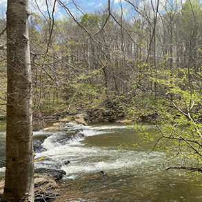 متنزه نهر مايو ريفر ستيت بارك المستقبلي