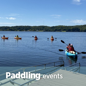 فعاليات التجديف