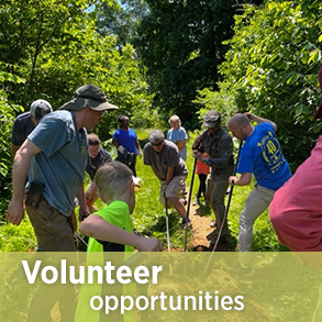 الفعاليات التطوعية