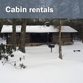 تأجير المقصورات