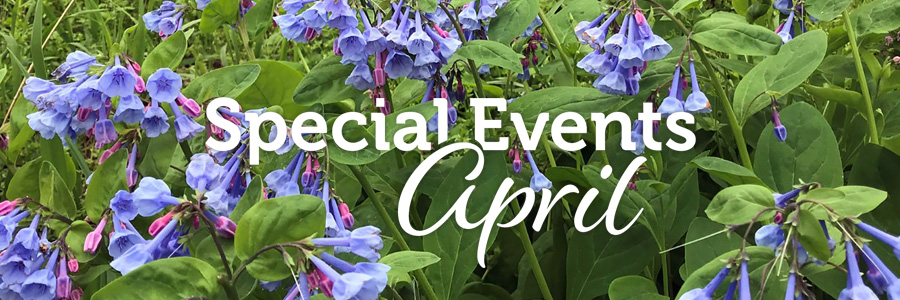 الفعاليات التي ستقام في أبريل