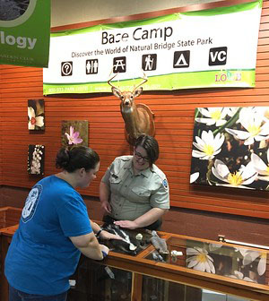 مركز بيس كامب للطبيعة البيئية