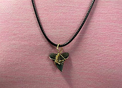 قلادة أسنان القرش