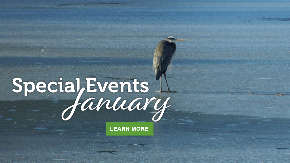 Januray events in Virginia State Parks