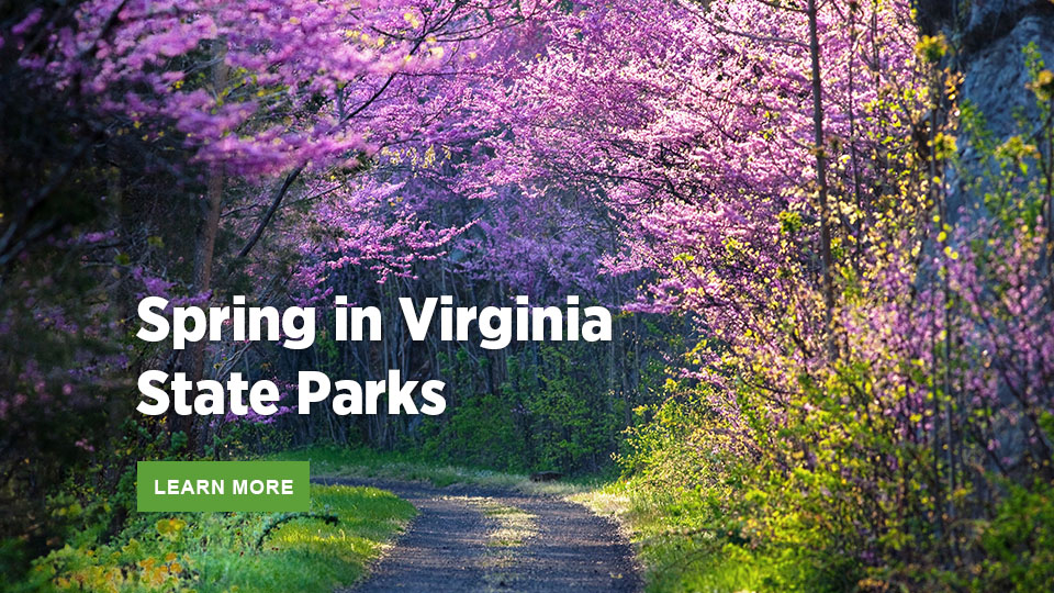 الربيع في متنزهات ولاية فيرجينيا